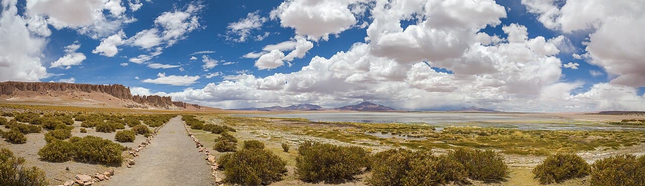 Satellite-style view of arid terrain — the kind of remote ground truth a desk review checks.